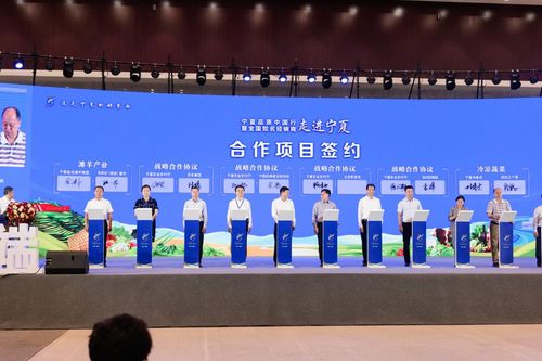 技術創(chuàng)新 品牌建設加持 助力寧夏農業(yè)綠色發(fā)展